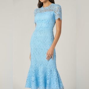 Shoshanna Blue Lace Midi Dress